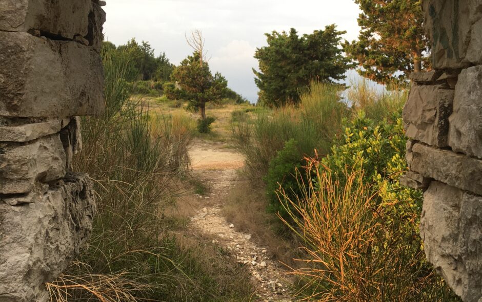 Paxos countryside